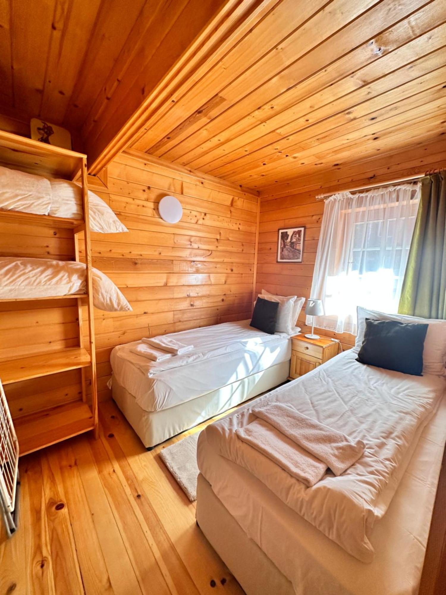 Alpine Ski Chalet Borovets With Sauna Exterior photo