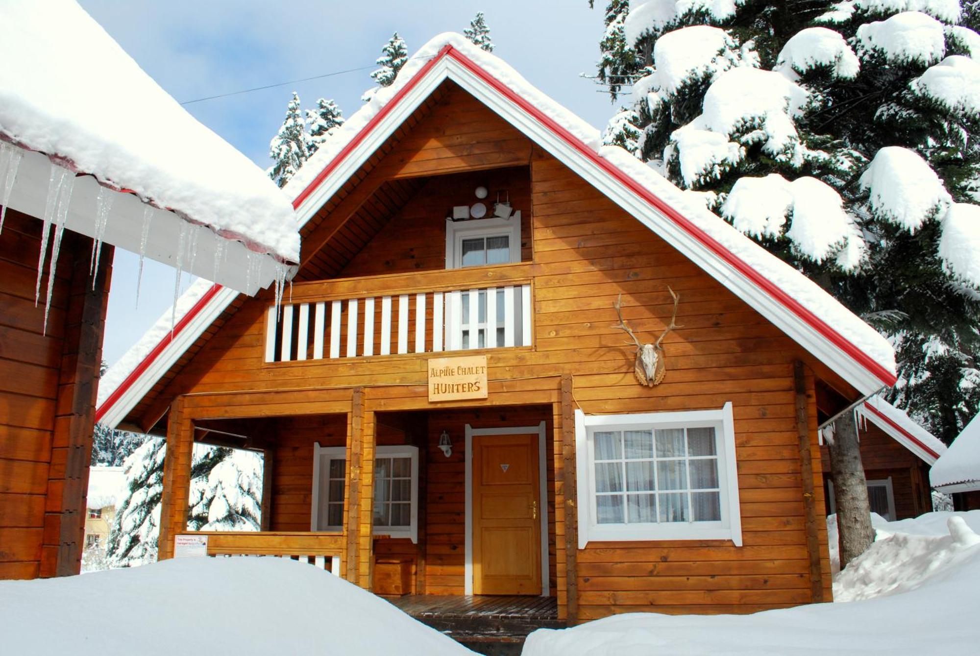 Alpine Ski Chalet Borovets With Sauna Exterior photo