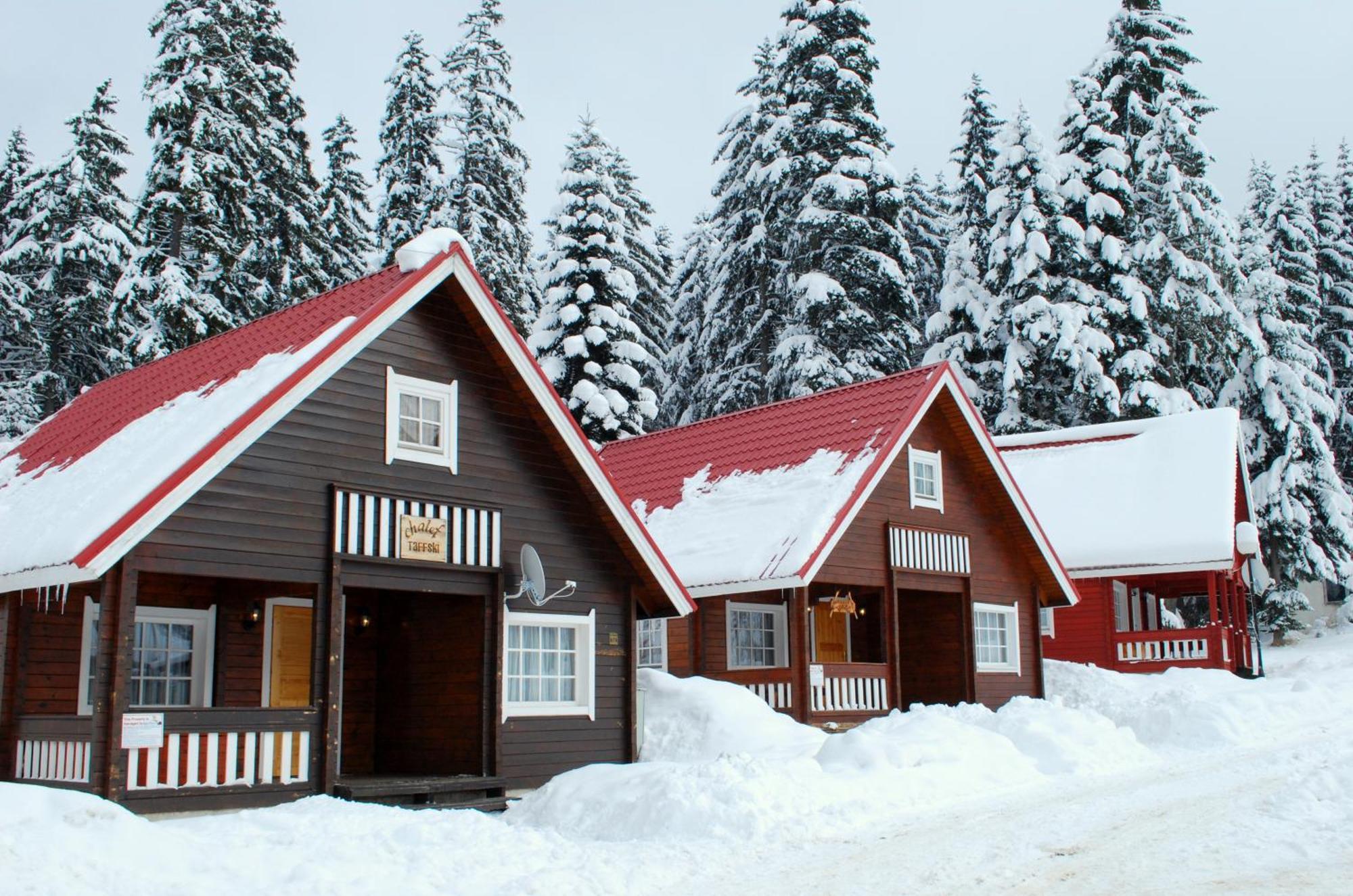 Alpine Ski Chalet Borovets With Sauna Villa Exterior photo